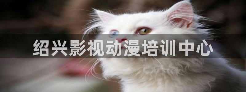 星空影院电影在线免费观看：绍兴影视动漫培训中心