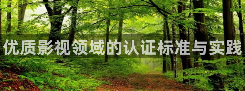 星空影院在线手机版在线观看：优质影视领域的认证标准与实践